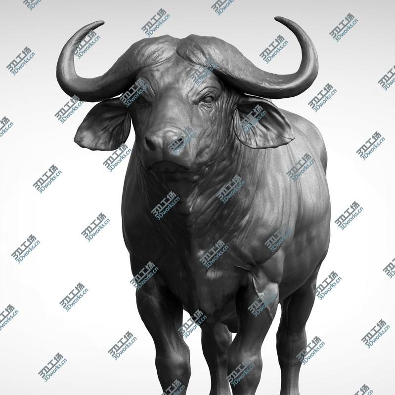 images/goods_img/20210319/3D African  buffalo - Black Cape model/1.jpg
